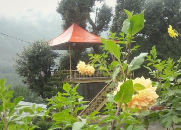 Beautiful 3 Days delhi to manali Holiday Package