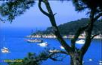 Amazing 5 Days 4 Nights istanbul Trip Package