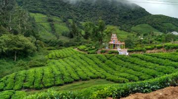 Heart-warming 2 Days 1 Night highways lake Vacation Package