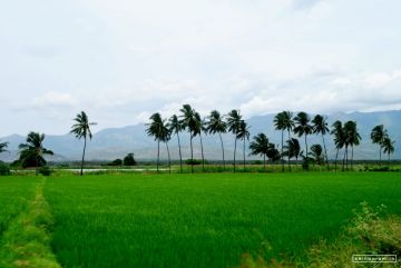 Amazing 2 Days theni sightseeing Holiday Package