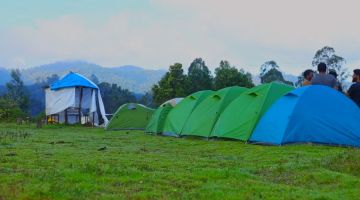 Ecstatic 2 Days 1 Night kurangani sightseeing Holiday Package