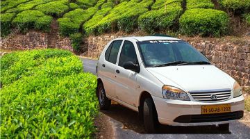 Experience 2 Days vagamon sightseeing Trip Package