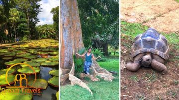 Experience 5 Days mauritius Honeymoon Vacation Package