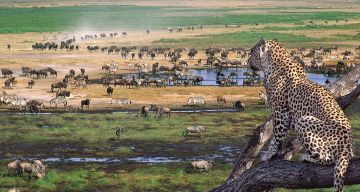 4 Days 3 Nights Nairobi to masai mara Friends Tour Package