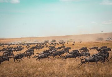 4 Days 3 Nights Nairobi to masai mara Friends Tour Package