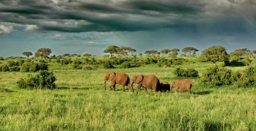 9 Days 8 Nights nairobi, samburu, aberdare with lakenakuru Trip Package