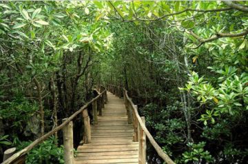 6 Days 5 Nights Zanzibar Tour Package