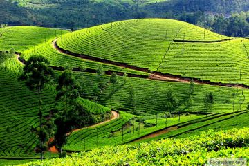 4 Days bangalore, mysore and ooty Trip Package