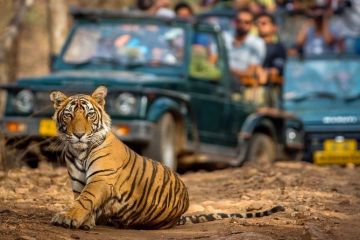 Beautiful 6 Days Delhi to ranthambore Tour Package