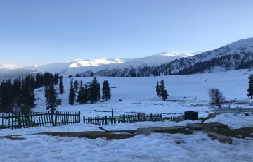 Luxury Gulmarg Tour  3 Days