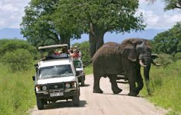 4 Days 3 Nights Tarangire national park to arusha Vacation Package