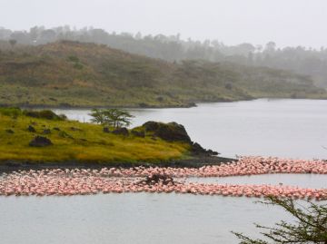 4 Days 3 Nights Tarangire national park to arusha Vacation Package