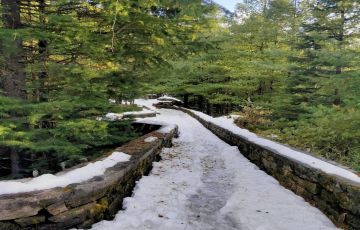 Family Getaway 7 Days chandigarh Trip Package