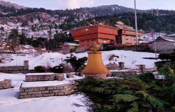 Family Getaway 7 Days chandigarh Trip Package