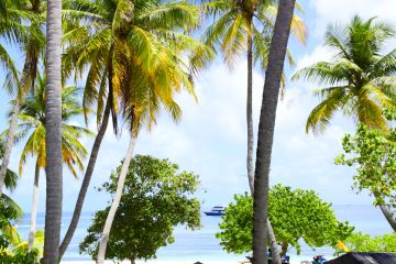 Pleasurable 4 Days 3 Nights male Honeymoon Vacation Package