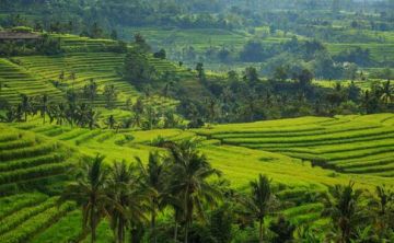 Bali Indonesia Couple Tour Packages 6 Days