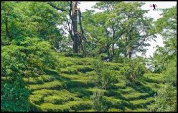 Ecstatic 3 Days 2 Nights bir Honeymoon Holiday Package