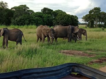 7 Days 6 Nights Arusha to serengeti Tour Package