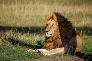 7 Days 6 Nights Arusha to serengeti Tour Package