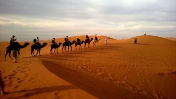 5 Days 4 Nights dubai - shopping and airport departure to dubai 4x4 desert safari Holiday Package