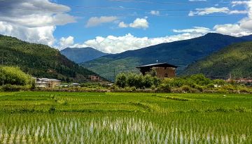 7 Days 6 Nights Punakha Tour Package