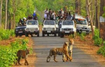 5 Days 4 Nights sariska Culture and Heritage Holiday Package