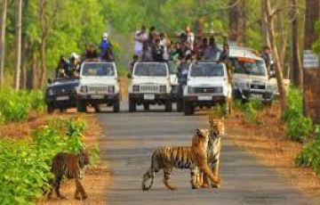 5 Days 4 Nights sariska Culture and Heritage Holiday Package