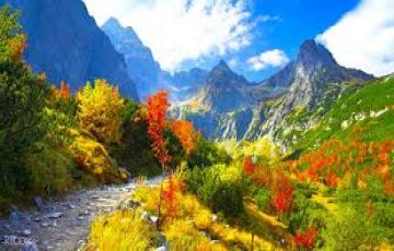 Magical 5 Days 4 Nights srinagar, gulmarg with sonmarg Holiday Package