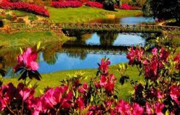 7 Days srinagar, sonmarag, gulmarag with pahalgam Beach Trip Package