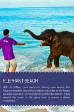 Best 6 Days havelock island Tour Package