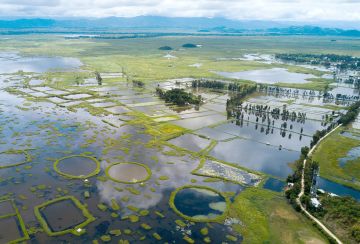 Magical 5 Days Imphal to andro Trip Package
