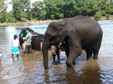 Magical 6 Days 5 Nights ooty Holiday Package