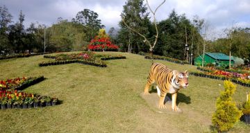 Heart-warming 4 Days Kochi to munnar Holiday Package