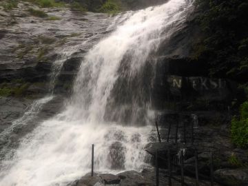 Heart-warming 4 Days Kochi to munnar Holiday Package