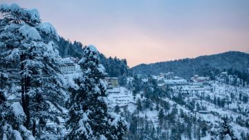 2 Days 1 Night Delhi to shimla Holiday Package