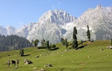 Best 8 Days srinagar to gulmarg Holiday Package