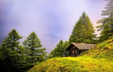 Best 8 Days srinagar to gulmarg Holiday Package