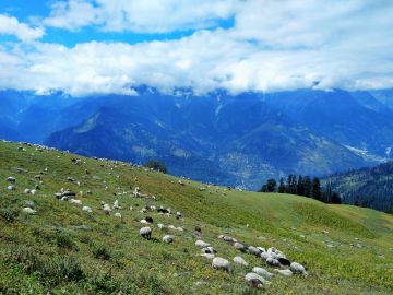 Heart-warming 4 Days 3 Nights manali Honeymoon Tour Package