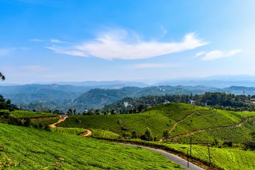 5 Days munnar, thekkady, alleppey with cochin Family Tour Package