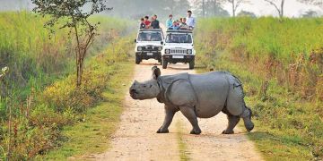 12 Days 11 Nights Guwahati to majuli Weekend Getaways Vacation Package