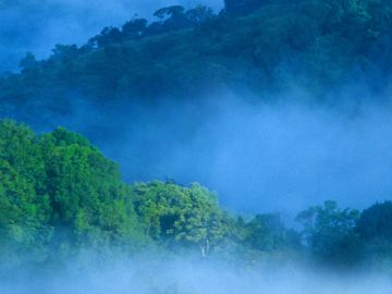 Family Getaway Tour Package for 3 Days 2 Nights