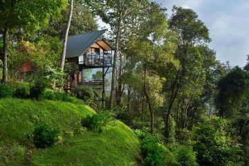 Beautiful 4 Days 3 Nights munnar Trip Package