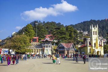 Ecstatic shimla Tour Package for 4 Days