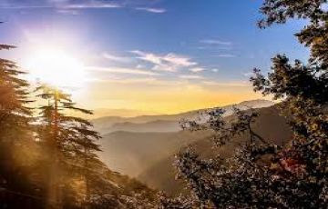 Heart-warming 4 Days delhi to manali Tour Package