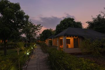 Best Tadoba Tour Package for 3 Days from Nagpur