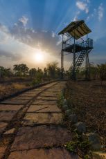 Best Tadoba Tour Package for 3 Days from Nagpur