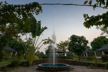 Best Tadoba Tour Package for 3 Days from Nagpur