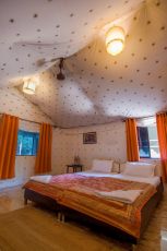 Best Tadoba Tour Package for 3 Days from Nagpur