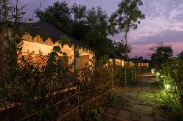 Best Tadoba Tour Package for 3 Days from Nagpur