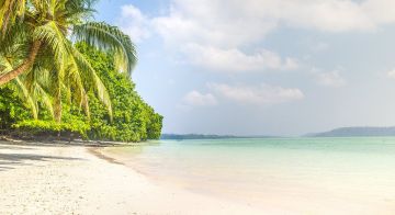 Experience 6 Days havelock island Trip Package